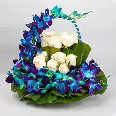 Orchids Delight