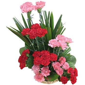 Classic Carnations Basket