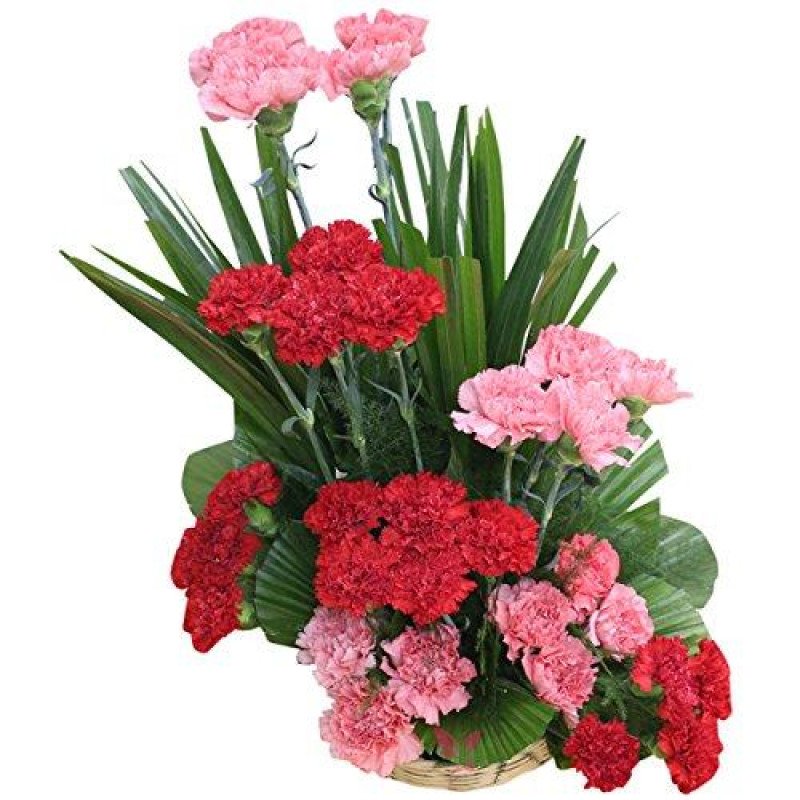 Classic Carnations Basket