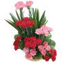 Classic Carnations Basket