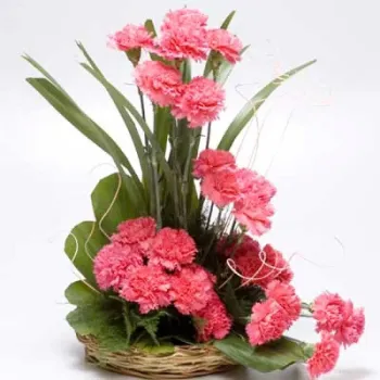Cute Carnations Basket