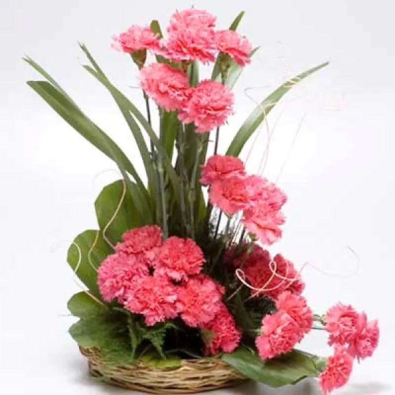 Cute Carnations Basket