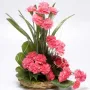 Cute Carnations Basket
