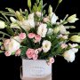 Pink whisper white lisianthus plant 